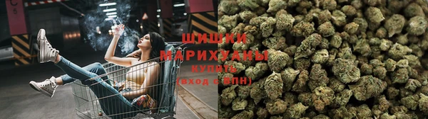 прущая мука Богданович