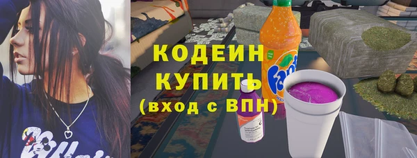 хмурый Богородицк