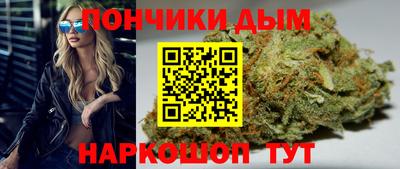 прущие крисы Камышлов