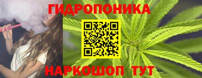 ГАЛЛЮЦИНОГЕННЫЕ ГРИБЫ Кандалакша