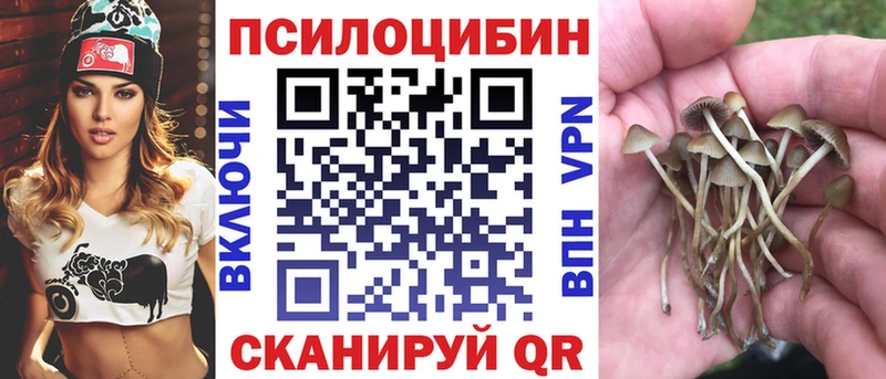 Псилоцибиновые грибы GOLDEN TEACHER  omg маркетплейс  Обнинск 