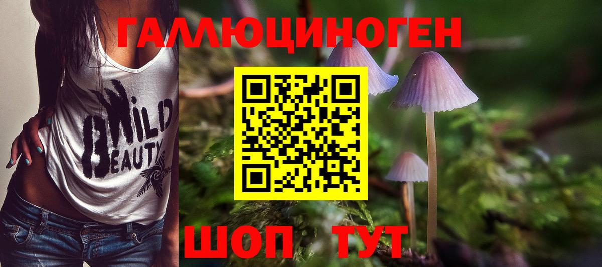 Псилоцибиновые грибы MAGIC MUSHROOMS  Вход с VPN  Обнинск 